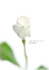 CSR REPORT 2017