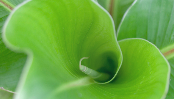 生物多様性