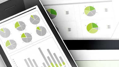 Business Performance and Financial Information